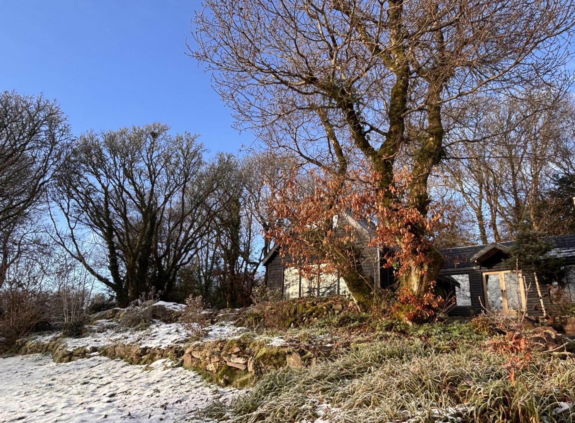 Sligo Forest Retreat Exterior photo